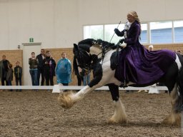 DSC_1871_web